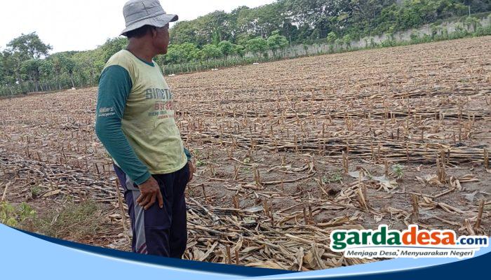 Bertahun-tahun Terdampak Debu, Puluhan Petani Merkawang Soroti Aktivitas Klinker PT SBI